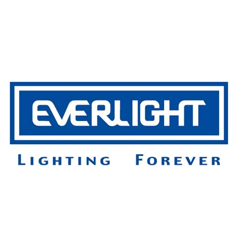 EVERLIGHT(亿光）